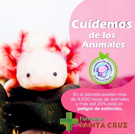 Farmacia Santa Cruz Relaciones Exteriores - Thumbnail