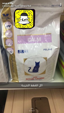 Royal Canin, Author: Hanan Mohmammed