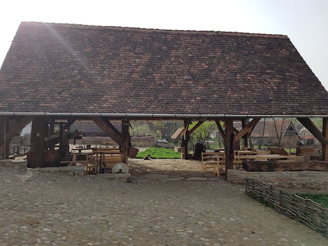 La Hansi in Criț
