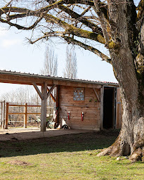 Photo n°2 de Institut Français de Zoothérapie à Velanne (Centre de formation)