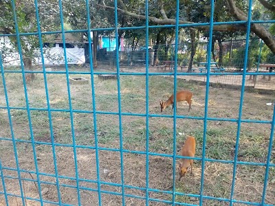 Photos of Murapara Rasel Park
