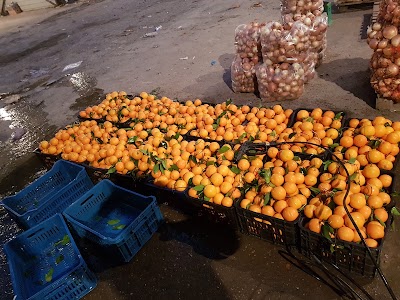 Photos of علوة التاجي