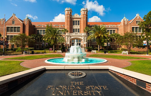 FL College Coach - Thumbnail