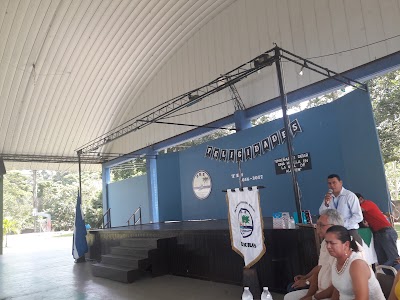 Photos of Palmeras Bilingual School