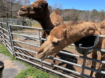 North Georgia Wildlife Park