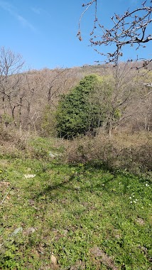 Kitsos Makris Folklore Museum, University of Thessaly, Author: Andrew Fragkiadakis