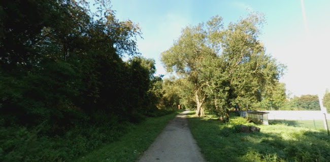 Albert Dumontlaan 40, 1200 Sint-Pieters-Woluwe