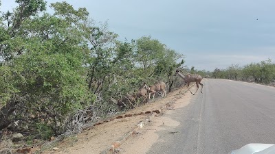 Photos of Nkumbe View Site
