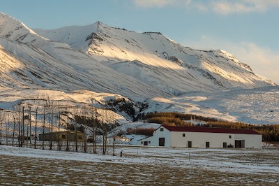 Photos of StableStop