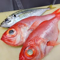 大衆酒場 だるま