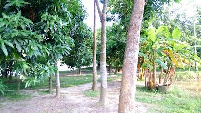 Photos of Babul Mango Tree Garden