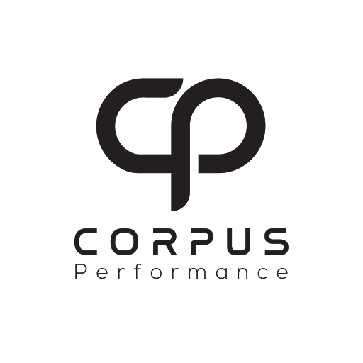 Corpus Performance - Visual