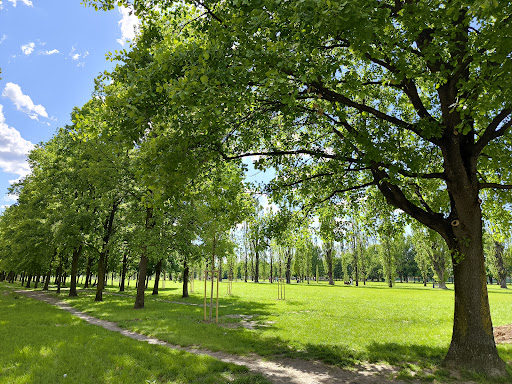 Giardini Ducali - Visual