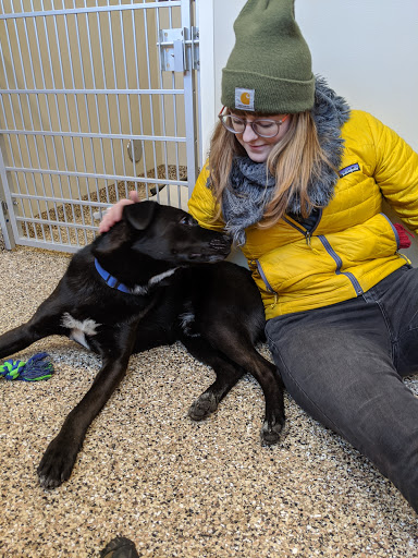 Paws and Claws Animal Rescue and Resort - Thumbnail
