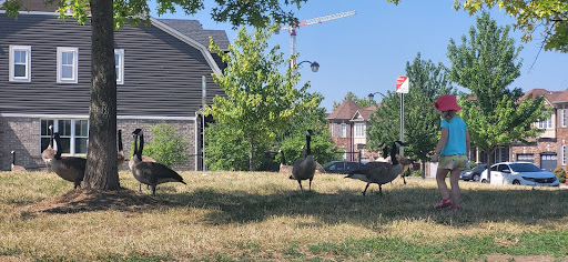 Coates Neighbourhood Park - Thumbnail