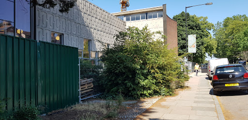 CYM Library - Visual