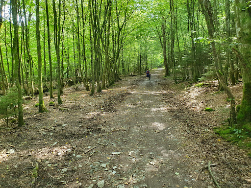 Domaine Provincial de Mirwart - Thumbnail