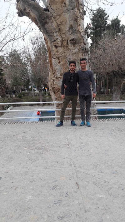 Photos of Ghadamgah Emam Reza