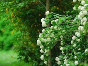 Photo n°10 de Chambres d'hôtes Bed and Beige à Linas (Chambre d'hôtes)