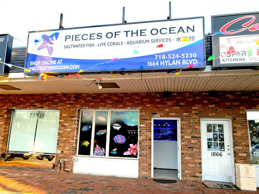 Pieces of the Ocean