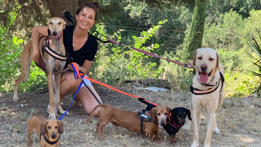 Hotel para perros Residència Canina Can Llosses Barcelona