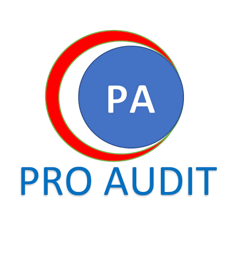 Pro Audit - Visual