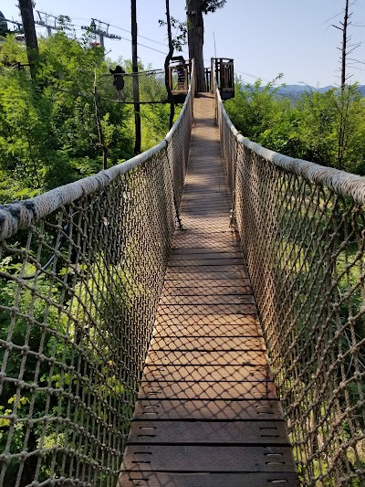 Treehouse Village