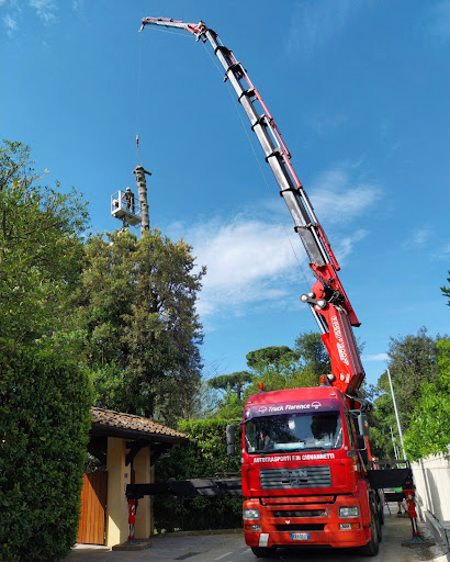 Autotrasporti Seardo