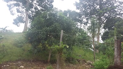 Photos of SANTO DOMINGO POPTUN