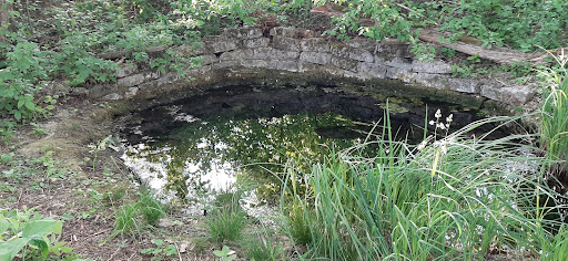 Diehlbrunnen - Visual