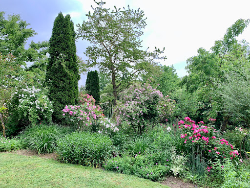 Mireille en Lot-et-Garonne Garden - Thumbnail