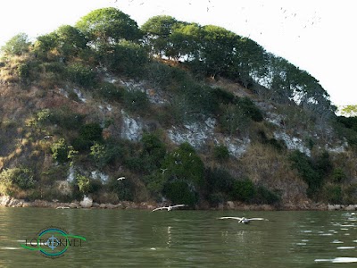 Photos of Isla P&aacute;jaros