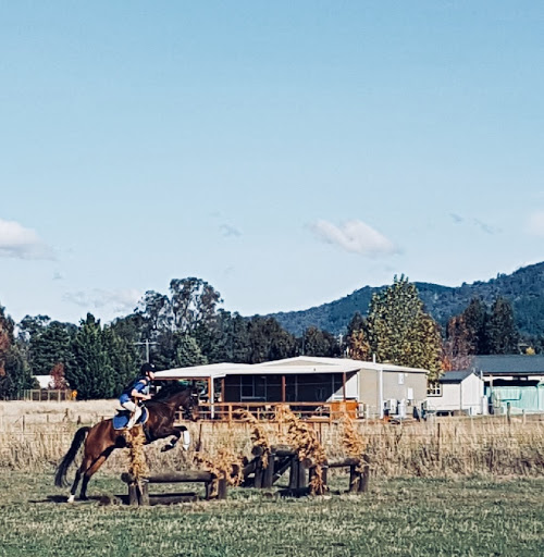 Mansfield Pony Club - Thumbnail