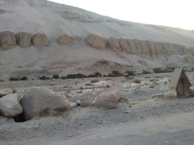 Photos of Valle de Azapa