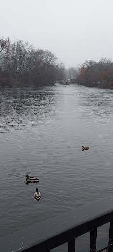 Jollene Dubner Park - Thumbnail