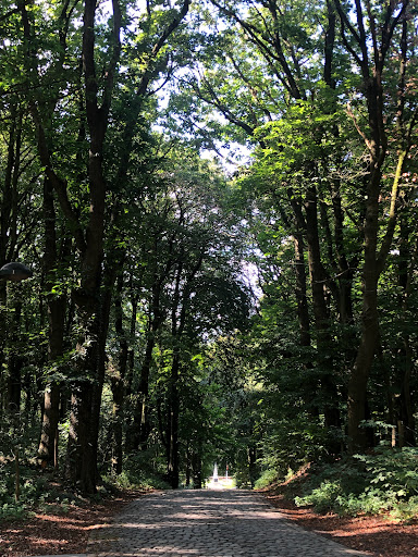 Den Engel op de Kemmelberg - Thumbnail