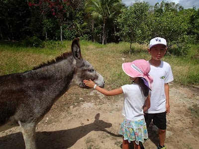 Photos of Tulum Monkey Sanctuary