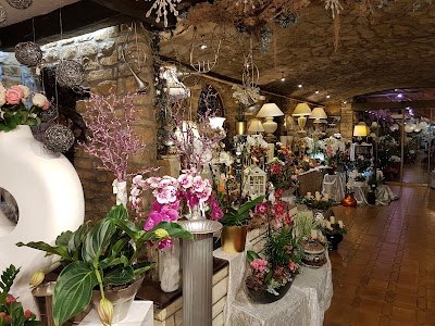 Photos of Fleurs Carlo Warnier S&agrave;rl