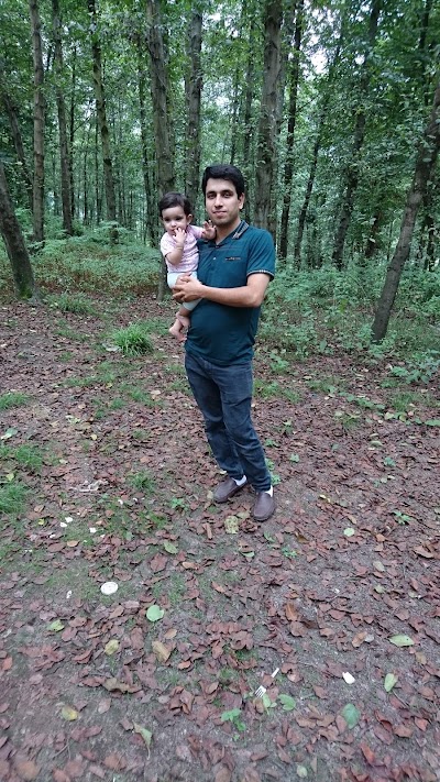 Photos of پارک جنگلی بزچفت