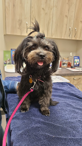 Walker Lake Veterinary Centre - Thumbnail