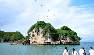 travel-agency