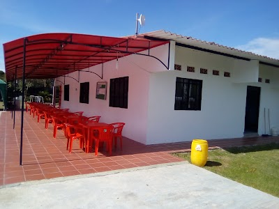 Photos of Doggy Tech - Colegio Y Hotel Canino