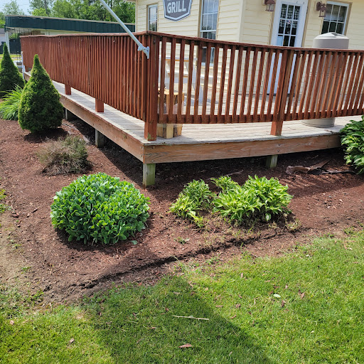 colossal landscaping - Thumbnail