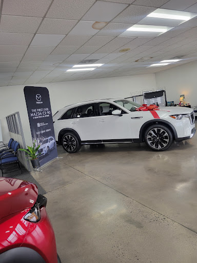 Cook Automotive