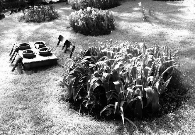 Giardino Botanico - Fondazione Heller