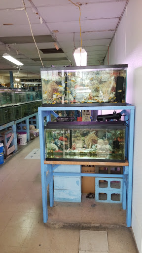 Inwood Aquarium - Thumbnail