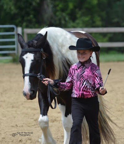 Serenity Farm Gypsy Horses