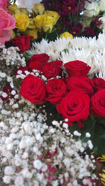 Photos of Passion de Fleurs