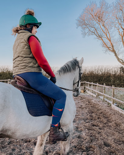 Coolhorsesocks - Visual