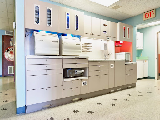 Dr. Mickey’s Pediatric & Orthodontic Specialists - Thumbnail